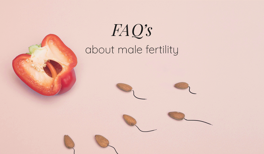 Male Fertility